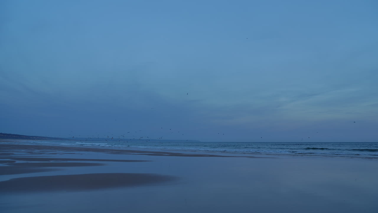 Seabirds gliding gracefully above rolling ocean waves during twilight, soft blue sky blending with delicate pink clouds creating peaceful coastal landscape