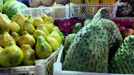 fresh tropical fruits display at local farmer market. soursop (guanabana) , guava, mangoes, coconuts