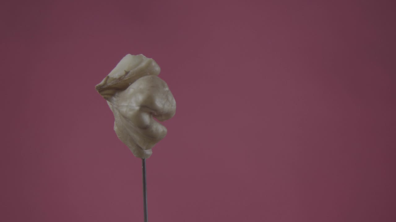 грецкий орех вращается с петлей на экране фуксии для хроматического ключа