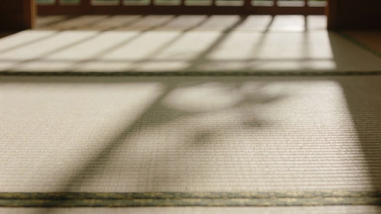 Ombra fluttuante di una pianta che attraversa il tatami in una washitsu vicino a una grata, la brezza muove un ramo alla luce del sole.