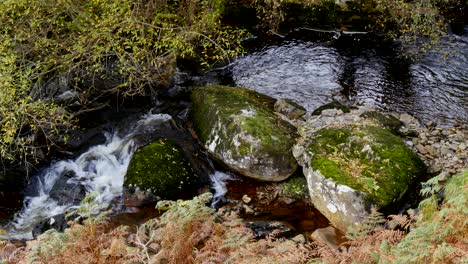 a welsh stream with rocks and stones with water flowing over the