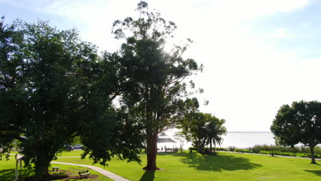 pan dolly up through the trees to reveal the sun setting over lake apopka, florida on a spring afternoon