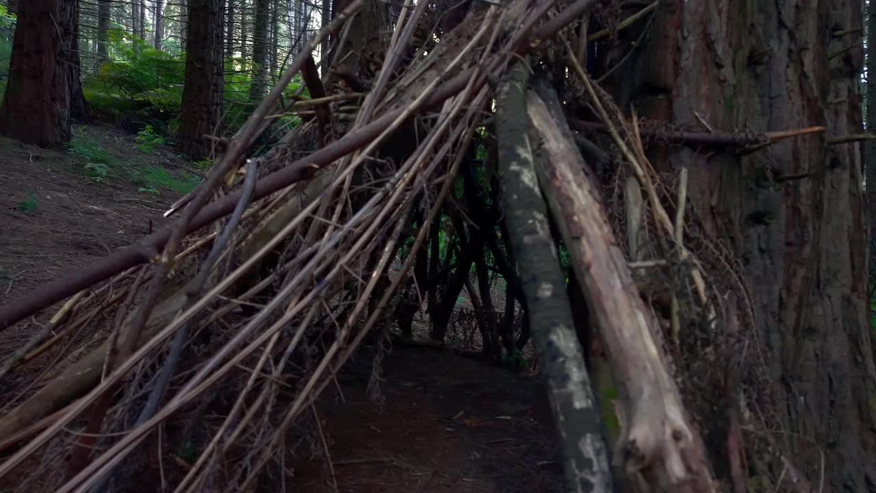Explore a handcrafted stick shelter in Melbourne's Woolrich Forest Park. This serene, sun-dappled clearing features tall trees and inviting trails, perfect for nature enthusiasts
