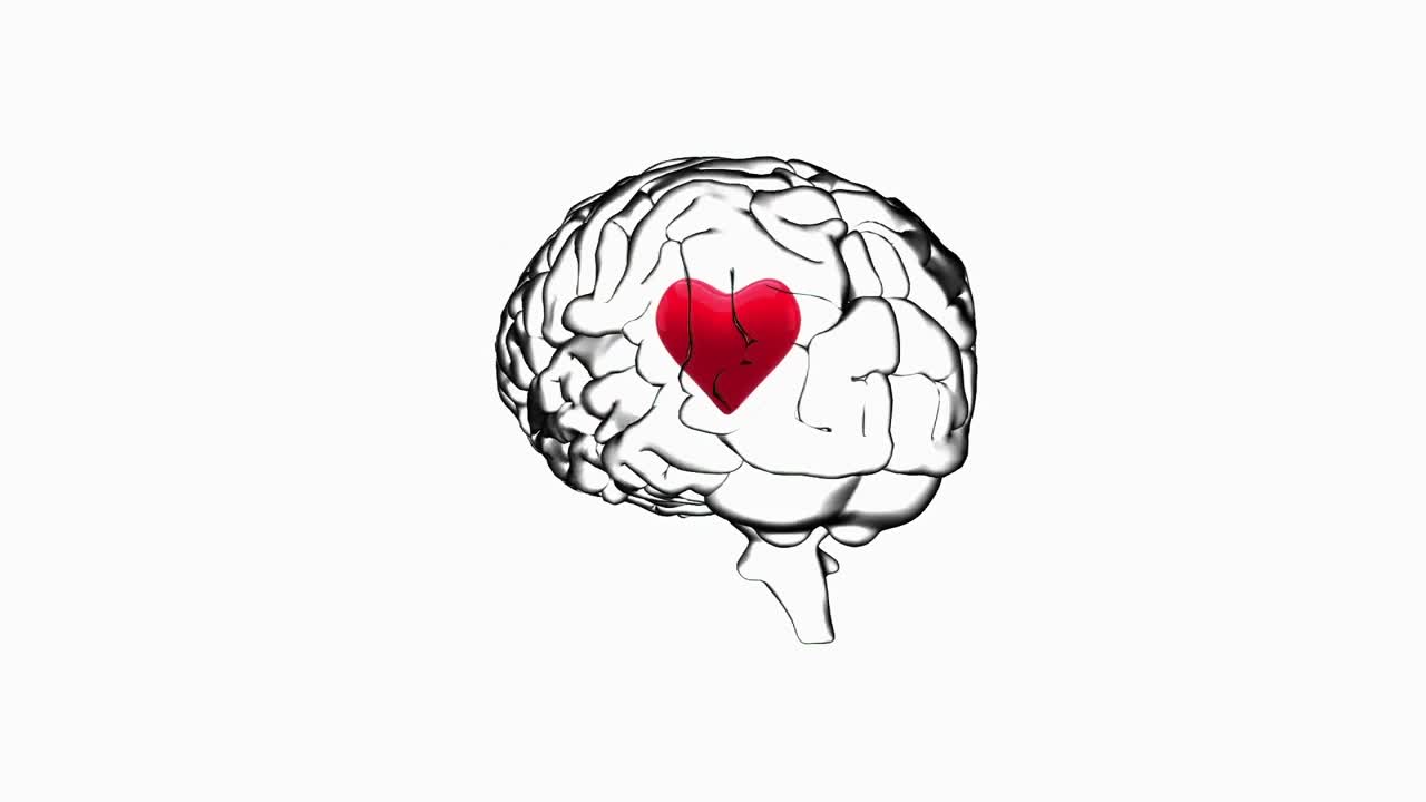 ⁇ 색 배경에 회전하는 인간의 뇌 위에서 뛰는  ⁇ 은 심장 아이콘