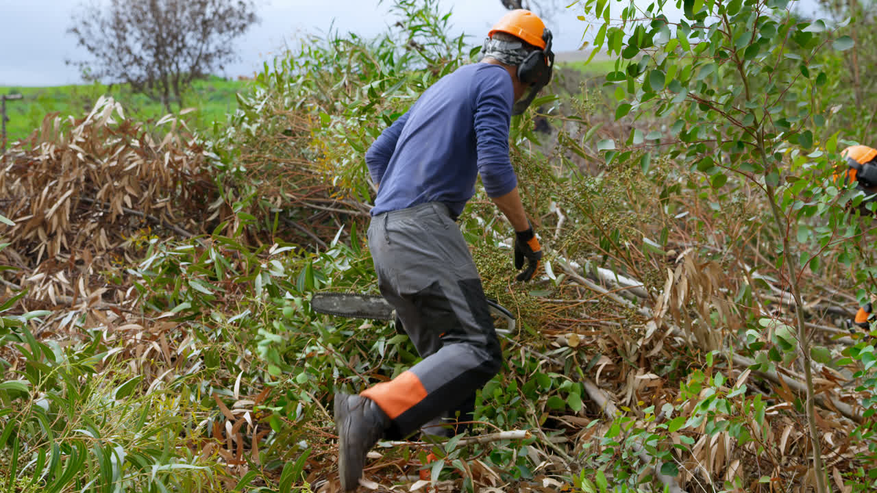 Due boscaioli che lavorano nella foresta 4K