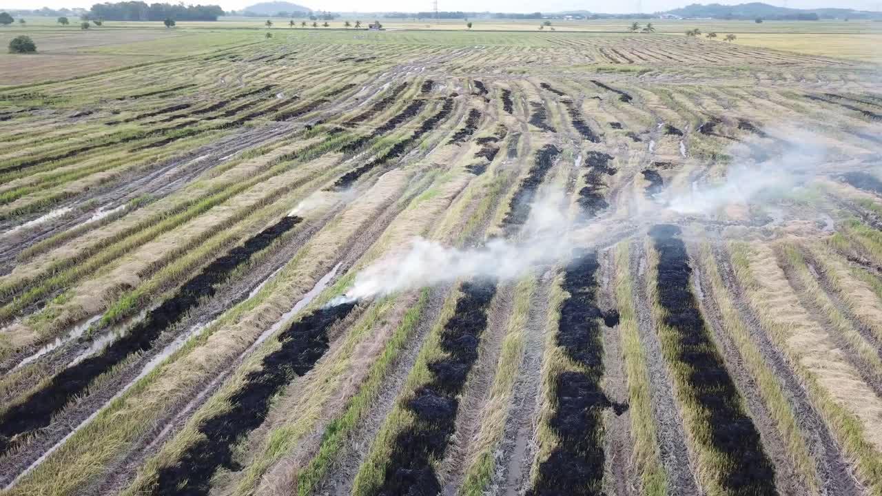 말레이시아의 농민이 총을  ⁇ 기 때문에 연기가 배출되었습니다.