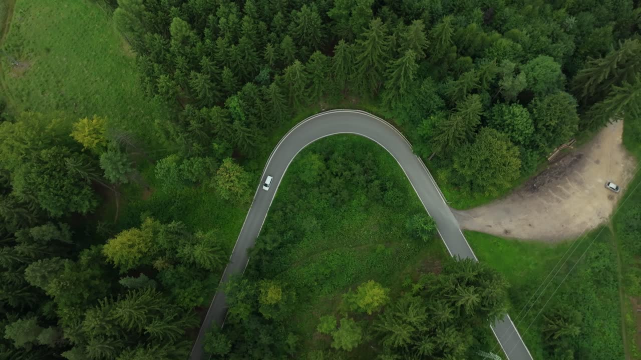 Car driving on a winding road in a dense green forest. Drone view of nature and travel. Aerial view