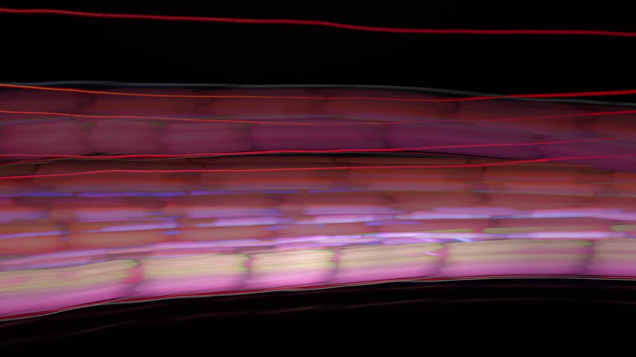 la vida de pintura del color en lgbtq de un video + pintura de luz