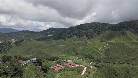 flyover: dramatic green hillsides, cameron valley tea plantation, mal