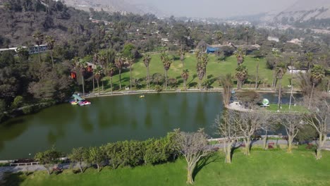 Video-De-Drones-De-Un-Lago-Rodeado-De-Hierba-Verde-Y-árboles