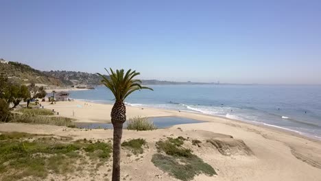 Una-Palmera-Debajo-De-Ella-Una-Carpa-De-Un-Hombre-Sin-Hogar-Increíble-Vista-Aérea-Vuelo-Subiendo-Lentamente-Imágenes-De-Drones-En-La-En-Malibu-Topanga-Beach-Usa-2018