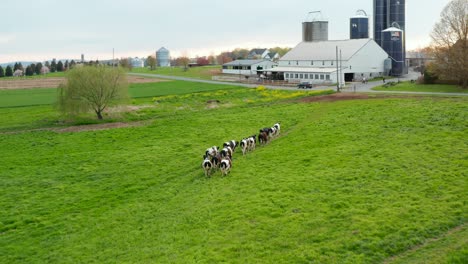 Tema-De-La-Industria-De-La-Leche-Láctea