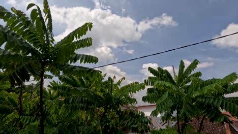 lapso de tiempo del movimiento de las nubes blancas en el cielo azul, hojas verdes en primer plano