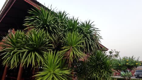 jardín exuberante que rodea una casa tradicional tailandesa