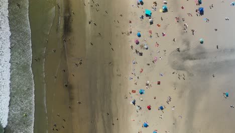 above view of people sunbathe and swimming at coronado beach in san diego, california, united states