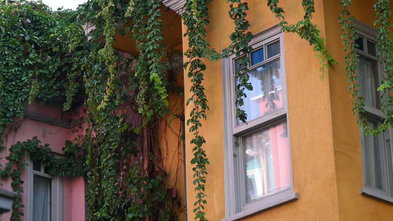 fachada de casa vintage con hiedra y ventanas