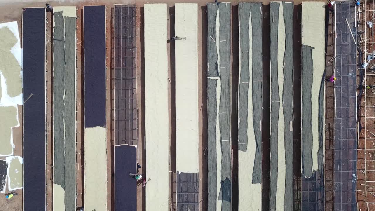 커피  ⁇ 이  ⁇ 빛에 말리고 있습니다.