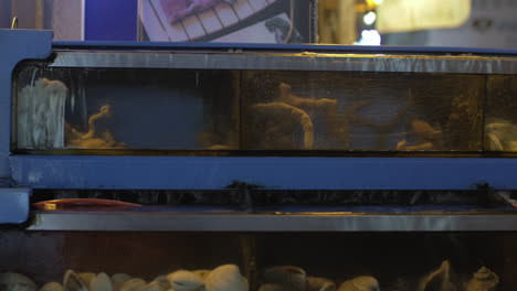 Water-tanks-with-fresh-sea-food-in-the-store