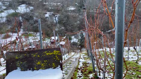 Viñedo-Empinado-A-Lo-Largo-De-La-Pendiente-Con-Ascensor-Para-El-Transporte-De-Uvas-Durante-El-Invierno-Detenido-En-Stuttgart,-Alemania