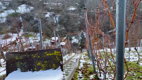 steep vineyard along slope with lift for transportation of grapes during winter on standstill in stuttgart, germany
