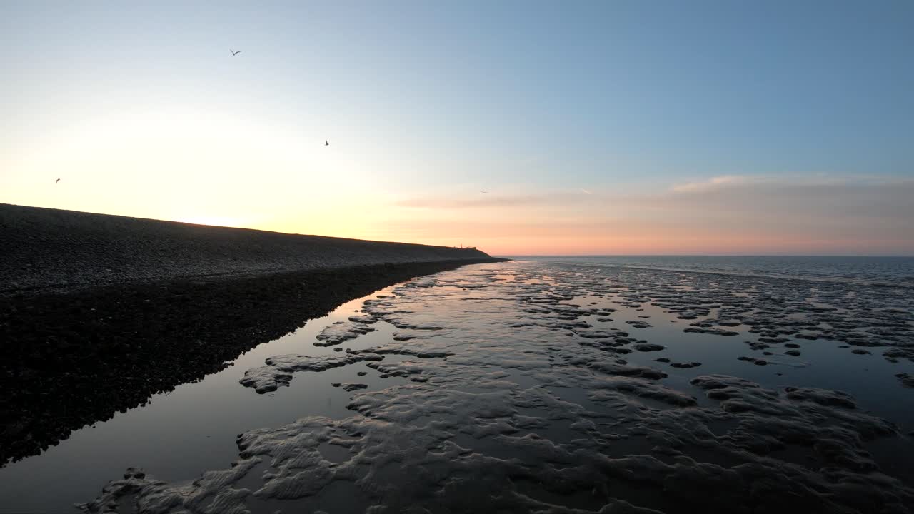 공중 드론 영상 새의 눈은 하늘을 나는 새들과 오렌지색 푸른 하늘과 함께 바다에서 일출의 해안을 봅니다.