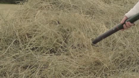 Farmer-turning-haystack-with-fork