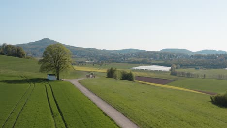 drone - aerial panorama shot of al lonely chapel on a field with grass and a road with an tractor and a panorama of the seven mountains - siebengebirge 25p