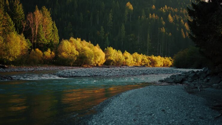 Rivière Lech turquoise traversant une forêt d’automne éclatante dans le Tyrol sous une chaude lumière de coucher de soleil