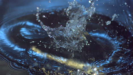 parsnip falling into water