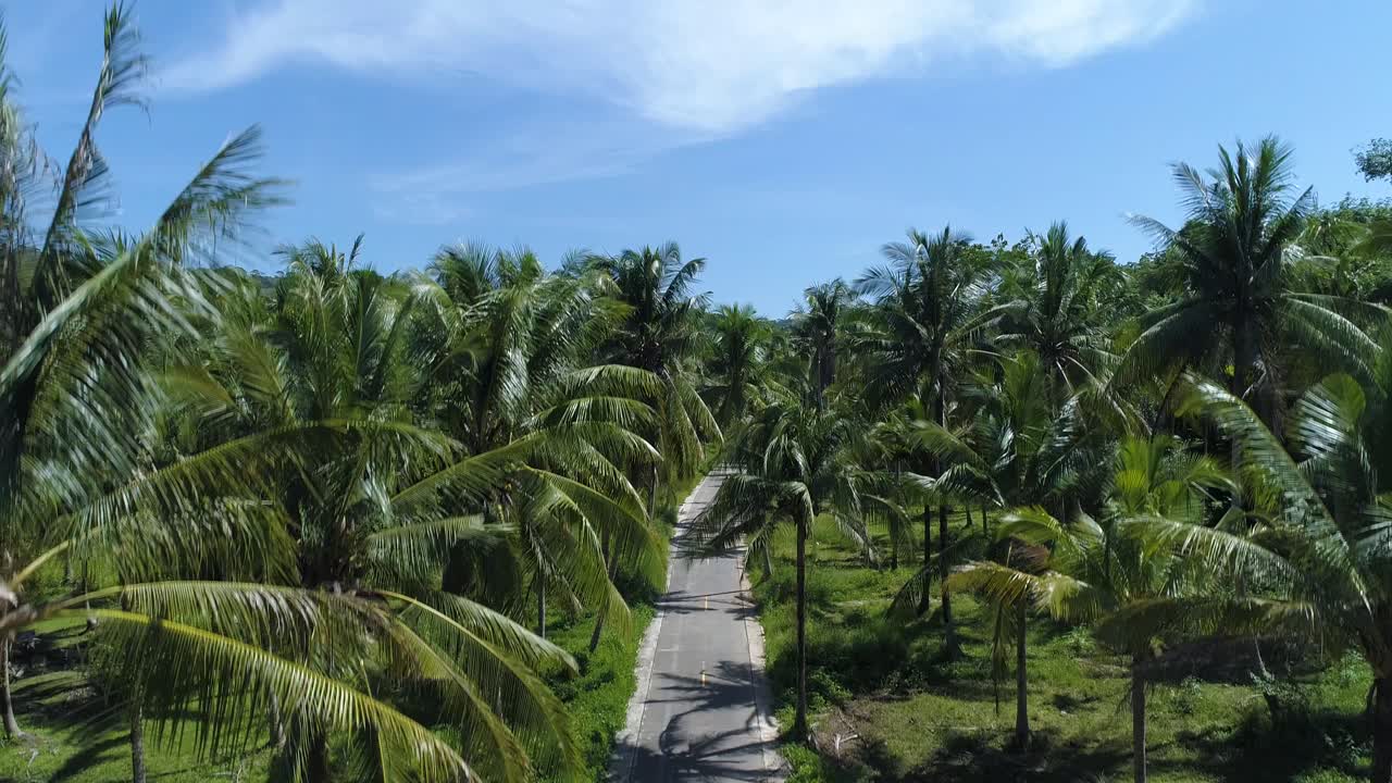 Crane shot of an empty road surrounded by Palm Trees at Koh Kood Island, Thailand