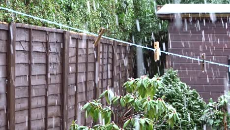 nieve cayendo en el jardin