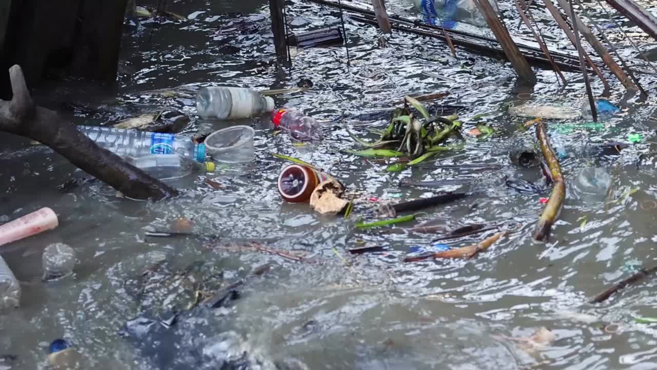 Plastic bottles and debris float among branches in a contaminated waterway, highlighting urban pollution issues.