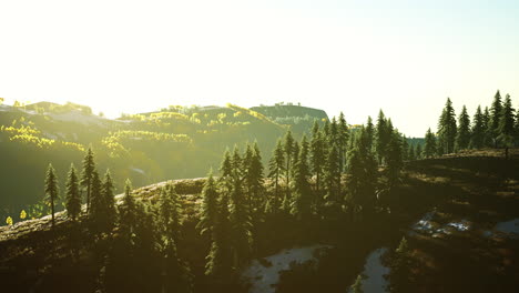 Wunderschöner-Baumhain-In-Den-Alpen-Mit-Verheerendem-Rauch-Bei-Sonnenuntergang