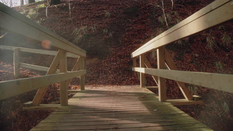 pov walking over a canyon bridge in a deciduous forest in northern europe