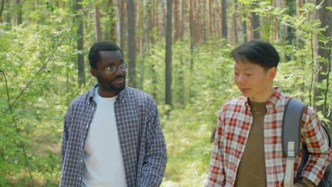 man and woman walking along forest