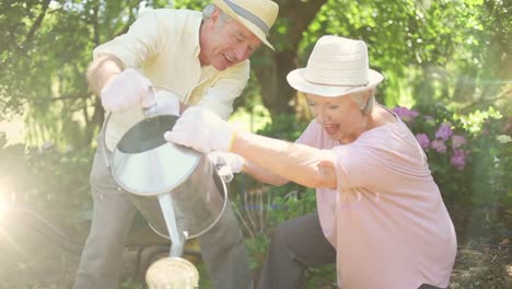 mancha de luz contra la pareja de ancianos caucásicos regando plantas juntos en el jardín