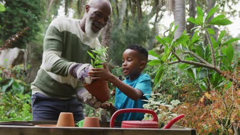 Happy-senior-african-american-man-with-his-grandson-potting-up-plants-in-garden