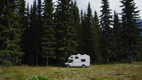 white campervan in a forest