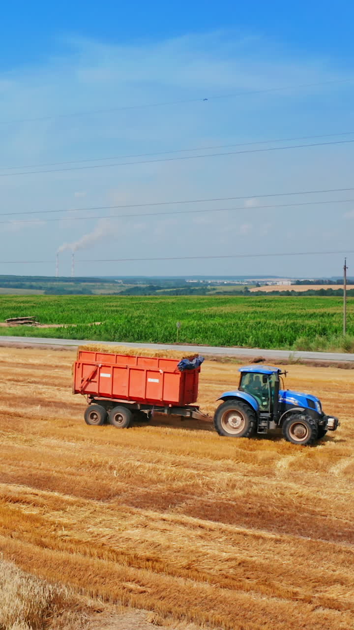 Agricultural machine moving by the cut wheat field. Tractor downloaded with hay bales rides by the plantation. High angle view. Vertical video