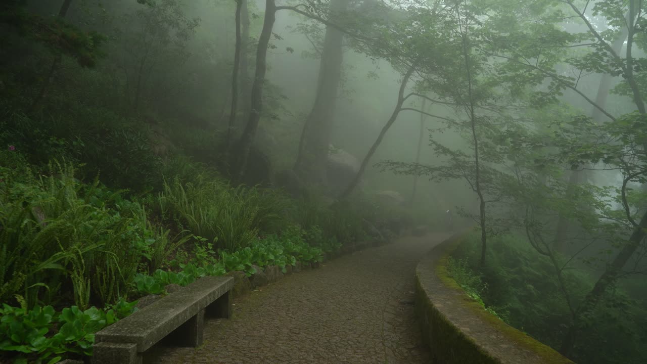 Stone Path Leading Through Mist and Fog in Villa Sassetti Trail
