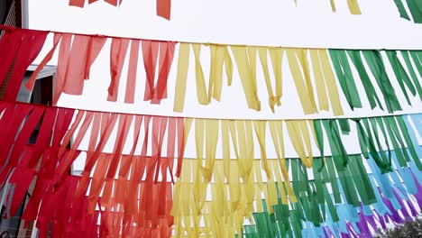 vibrant flags fluttering in the breeze