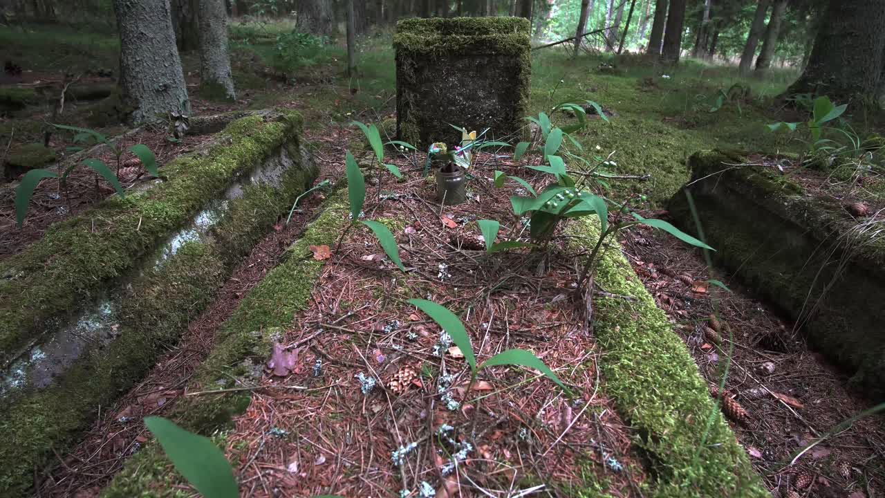 리투아니아 숲 광야의 섬뜩한 버려진 묘지 매장지