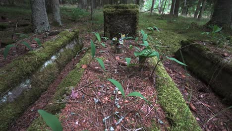 eerie abandoned graveyard burial sites in lithuania forest wilderness