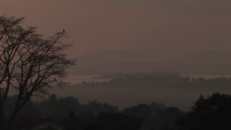 Tiro-Medio-Del-Anochecer-Bajo-Sobre-El-Lago-Victoria-Uganda