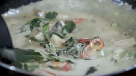 Stir-Boil-Red-Chili-and-Thai-Basil-in-Chicken-Green-Curry-with-Coconut-Milk