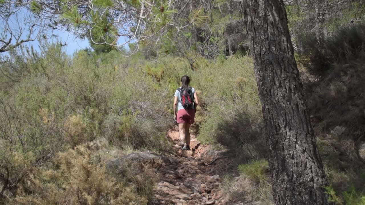 chica morena en forma caminando por el bosque de coníferas en españa