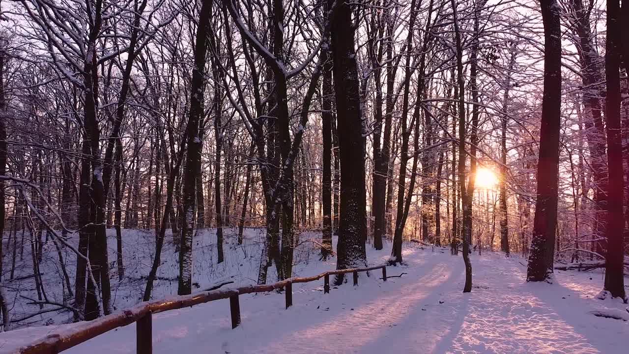 Uma trilha coberta de neve em uma floresta coberta de neve