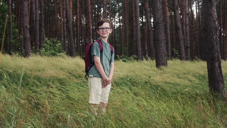 boy in a forest