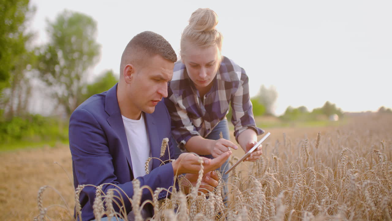 jóvenes agricultores discutiendo en el campo de trigo 14