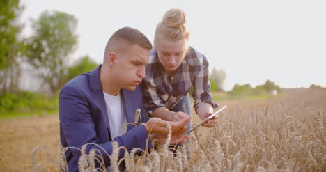 jóvenes agricultores discutiendo en el campo de trigo 14